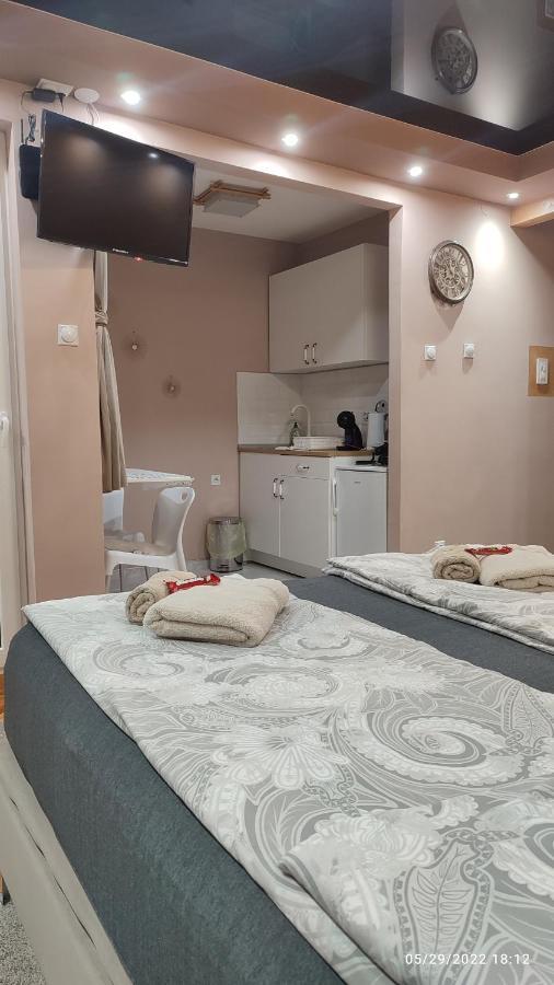 Iva Lux Apartman Zajecar Bagian luar foto